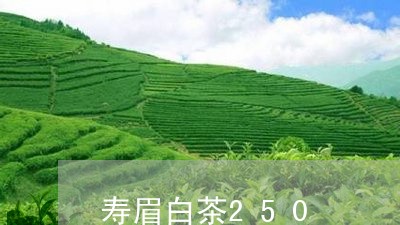 寿眉白茶250/2023112431671