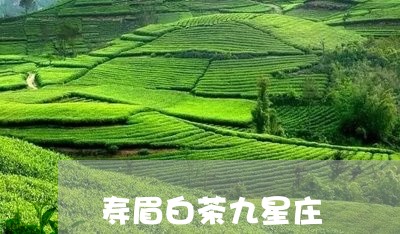 寿眉白茶九星庄/2023112449573