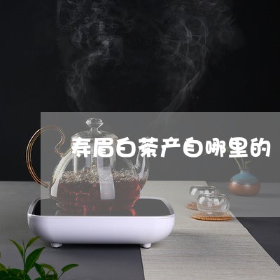 寿眉白茶产自哪里的/2023120583957