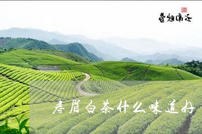 寿眉白茶什么味道好/2023120481715