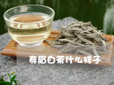 寿眉白茶什么样子/2023061972926