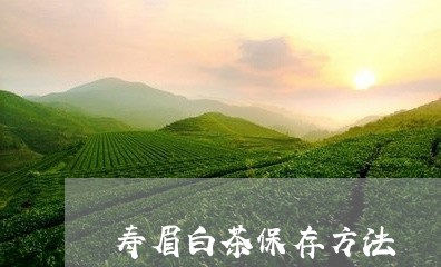 寿眉白茶保存方法/2023061998371