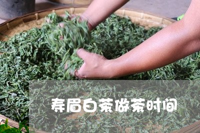 寿眉白茶做茶时间/2023061961835