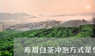 寿眉白茶冲泡方式是什么/2023092446593