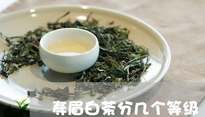 寿眉白茶分几个等级/2023120511716