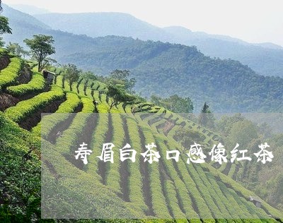 寿眉白茶口感像红茶/2023120493807