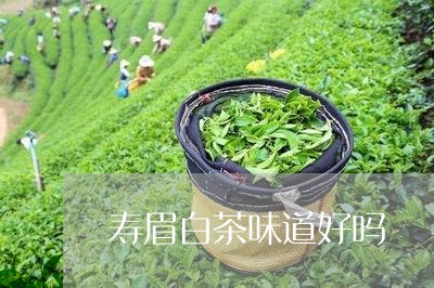 寿眉白茶味道好吗/2023090846260