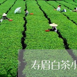 寿眉白茶小方片盒装图片/2023111665948