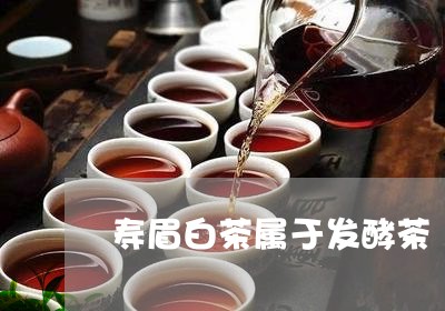 寿眉白茶属于发酵茶/2023062997472