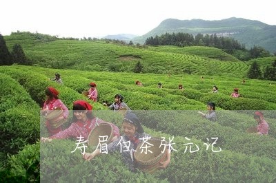 寿眉白茶张元记/2023112549282