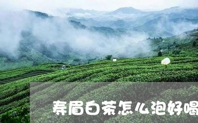 寿眉白茶怎么泡好喝一点/2023111525470