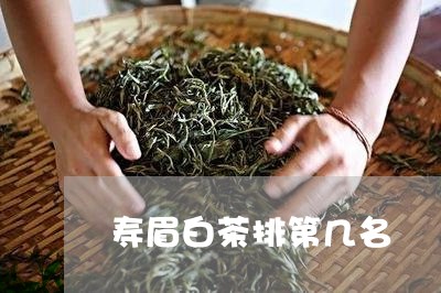 寿眉白茶排第几名/2023090885169