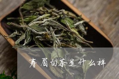 寿眉白茶是什么样/2023062966059