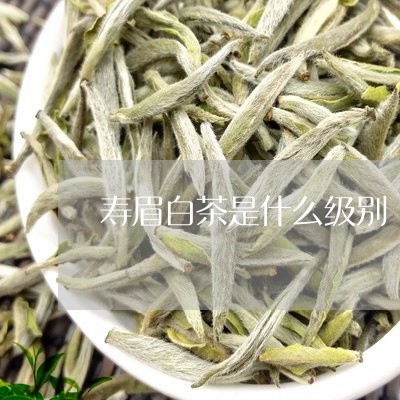 寿眉白茶是什么级别/2023120561505