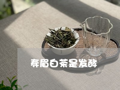 寿眉白茶是发酵/2023062956150