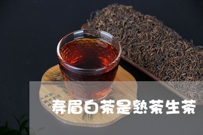 寿眉白茶是熟茶生茶/2023120444016