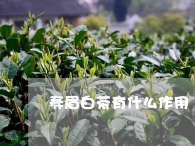 寿眉白茶有什么作用/2023120541506