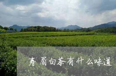 寿眉白茶有什么味道/2023120414827