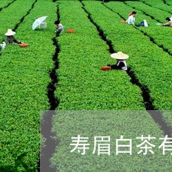 寿眉白茶有茶梗吗/2023090804149