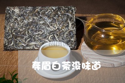 寿眉白茶没味道/2023112497369