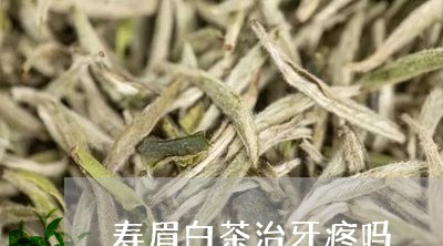 寿眉白茶治牙疼吗/2023090837383