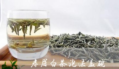 寿眉白茶泡法盖碗/2023090803049