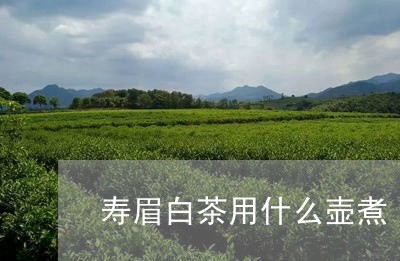 寿眉白茶用什么壶煮/2023120404858