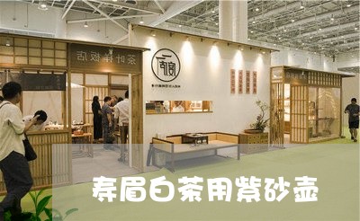 寿眉白茶用紫砂壶/2023090883048