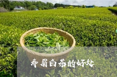 寿眉白茶的好处/2023112461485