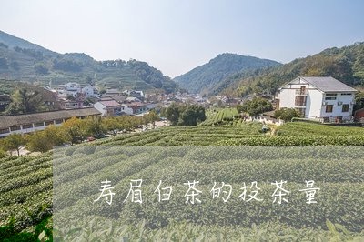 寿眉白茶的投茶量/2023061986260