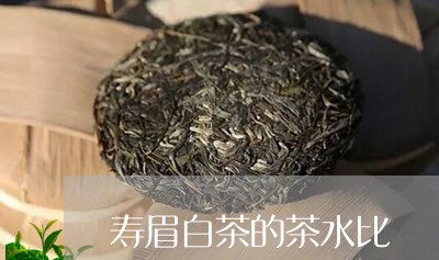 寿眉白茶的茶水比/2023090842514