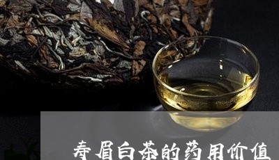 寿眉白茶的药用价值/2023091304828