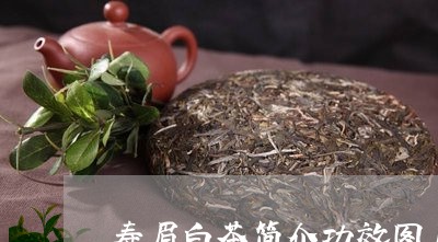 寿眉白茶简介功效图片/2023100121615