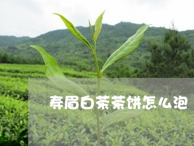 寿眉白茶茶饼怎么泡/2023120458360