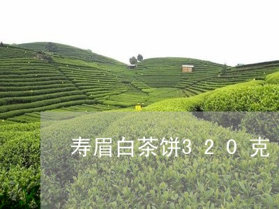 寿眉白茶饼320克/2023091379794