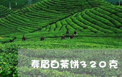 寿眉白茶饼320克/2023120418269