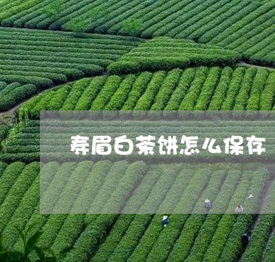 寿眉白茶饼怎么保存/2023120438269