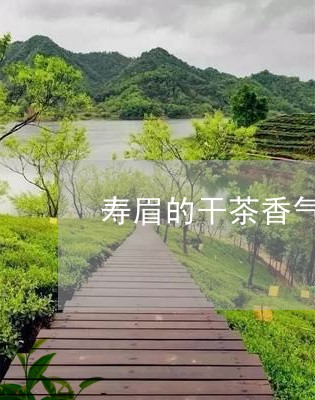 寿眉的干茶香气/2023112501525