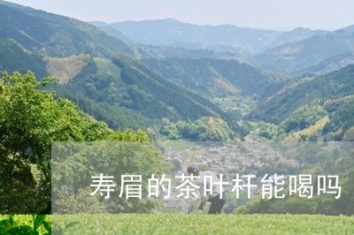 寿眉的茶叶杆能喝吗/2023120445939