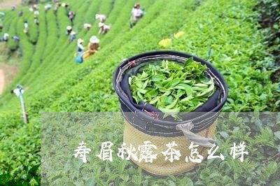 寿眉秋露茶怎么样/2023062053926