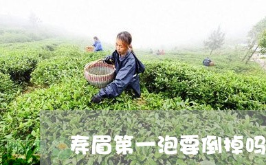 寿眉第一泡要倒掉吗/2023120458594