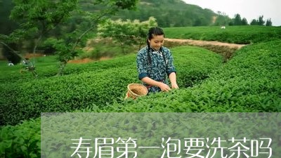 寿眉第一泡要洗茶吗/2023120496270