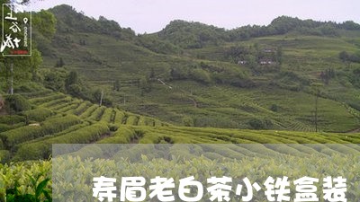 寿眉老白茶小铁盒装/2023120438593