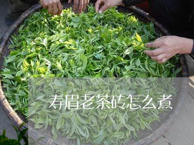 寿眉老茶砖怎么煮/2023090846257