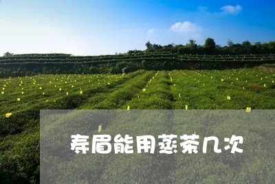 寿眉能用蒸茶几次/2023090814815