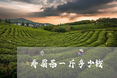 寿眉茶一斤多少钱/2023062080716