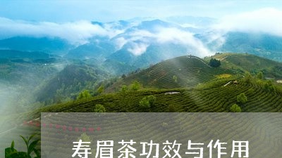 寿眉茶功效与作用/2023090832694