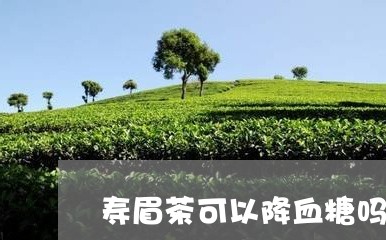 寿眉茶可以降血糖吗/2023120491792