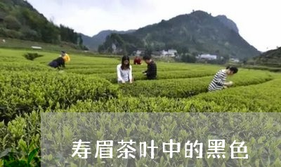 寿眉茶叶中的黑色/2023090883027