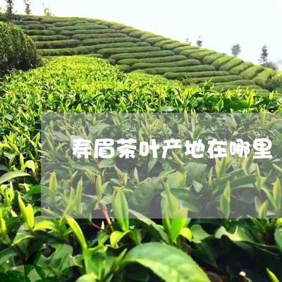 寿眉茶叶产地在哪里/2023120516389